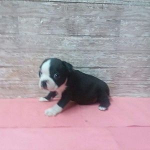 Meet your Posher, Denise